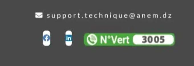 3005 وsupport.technique@anem.dz : حلول سريعة لمشاكل التسجيل لطالبي العمل ومنحة البطالة - SFN Emploi 3005 وsupport.technique@anem.dz : حلول سريعة لمشاكل التسجيل لطالبي العمل ومنحة البطالة - SFN Emploi