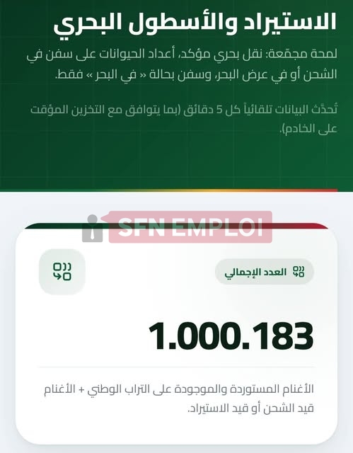 الجزائر تتجاوز استيراد مليون رأس غنم لتعزيز وفرة الأضاحي ومنصة “أضاحي” تنظم عملية التسجيل - SFN Emploi الجزائر تتجاوز استيراد مليون رأس غنم لتعزيز وفرة الأضاحي ومنصة “أضاحي” تنظم عملية التسجيل - SFN Emploi