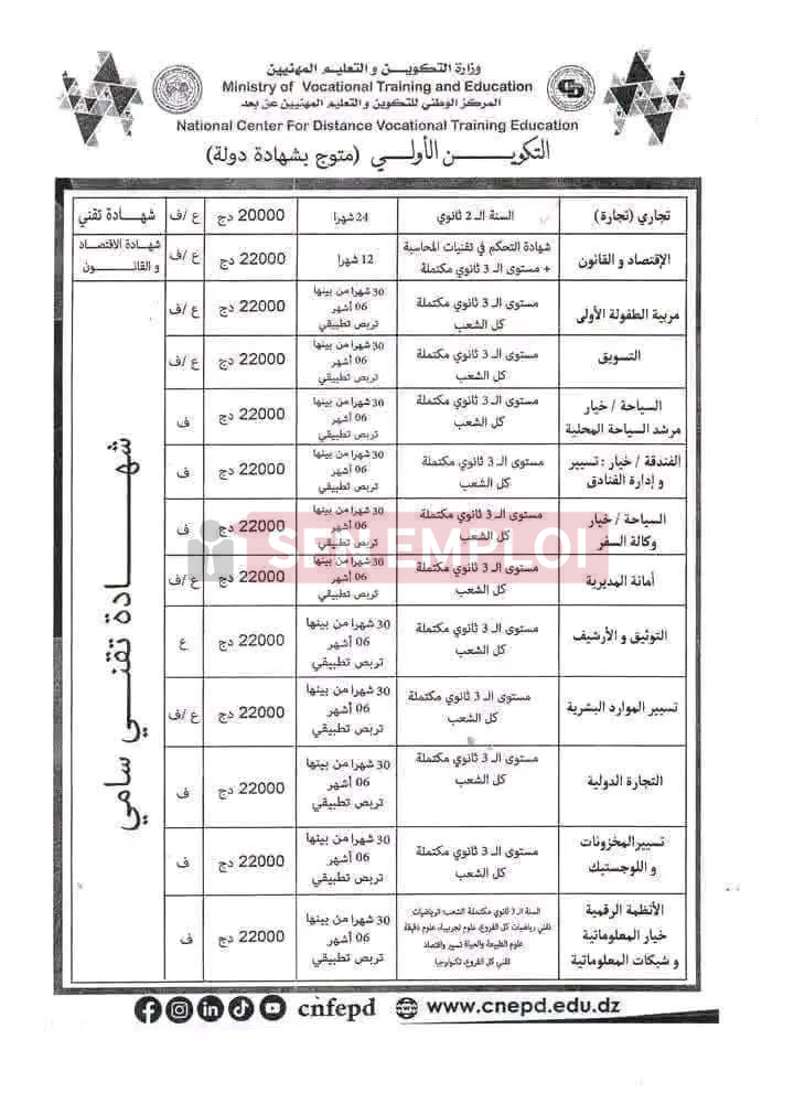 التسجيل في التكوين المهني عن بعد (المراسلة) دورة أكتوبر 2026.. التخصصات، الشروط، موعد الانطلاق وطريقة التسجيل - SFN Emploi