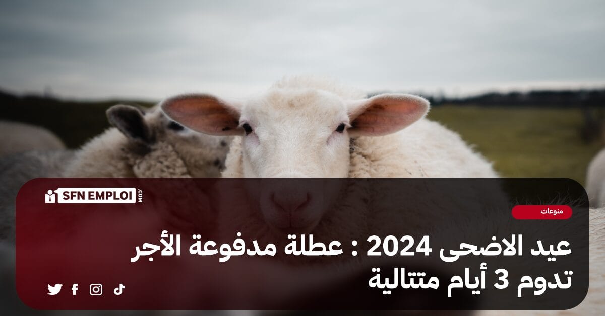 عيد الاضحى 2024 : عطلة مدفوعة الأجر للموظفين تدوم 3 أيام - SFN Emploi عيد الاضحى 2024