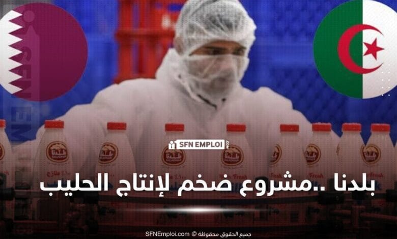الانطلاق في انجاز مشروع "بلدنا " لانتاج الحليب و 5000 منصب عمل مباشر في الافق - SFN Emploi