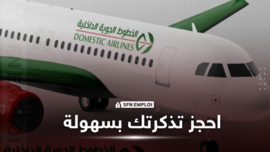 موقع Domestic Airlines.. دليلك لحجز الرحلات الداخلية إلكترونيًا - SFN Emploi Domestic Airlines