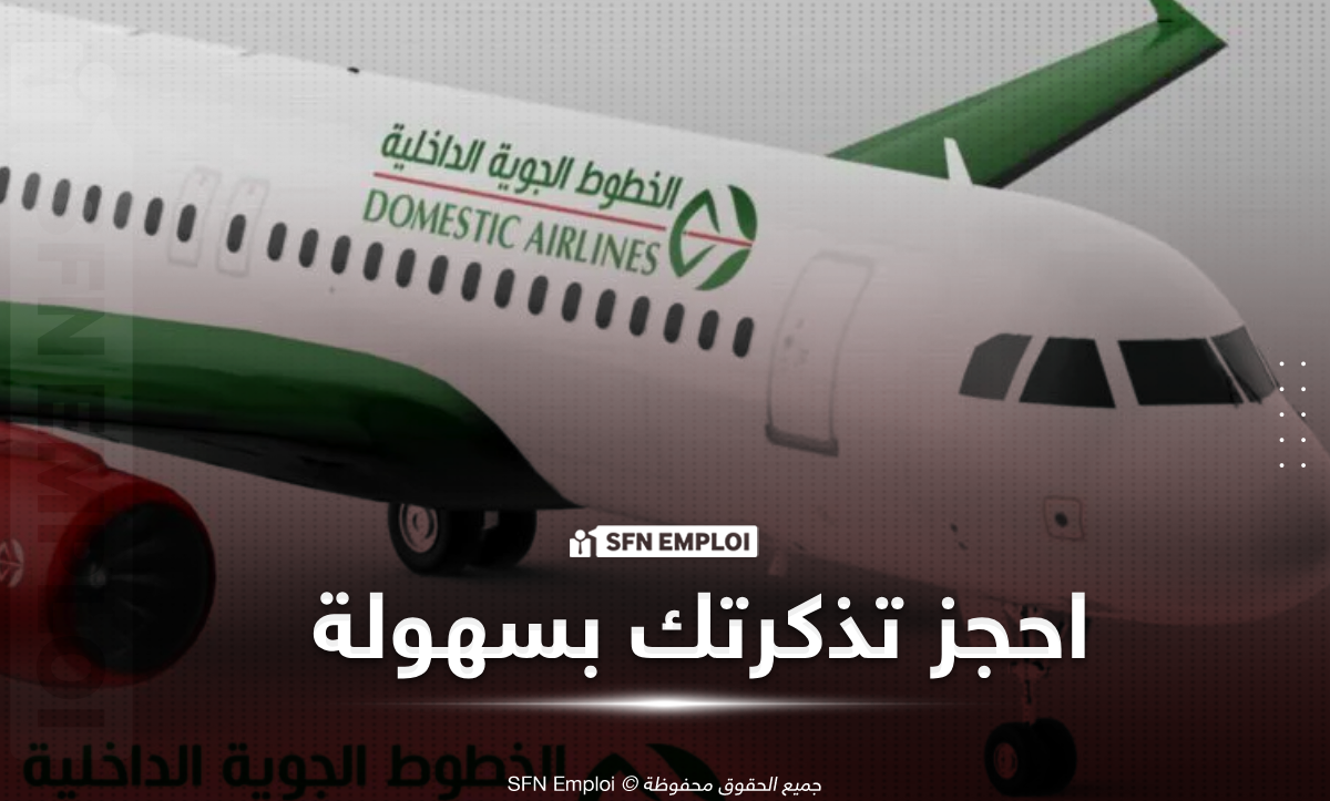 Domestic Airlines