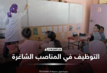 مستجدات توظيف الأساتذة 2026.. فتح المجال أمام التوظيف من خارج الولاية - SFN Emploi آلية التوظيف في المناصب الشاغرة : خطوات منظمة لضمان التوظيف العادل والشامل