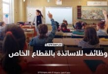 توظيف الاساتذة في القطاع الخاص