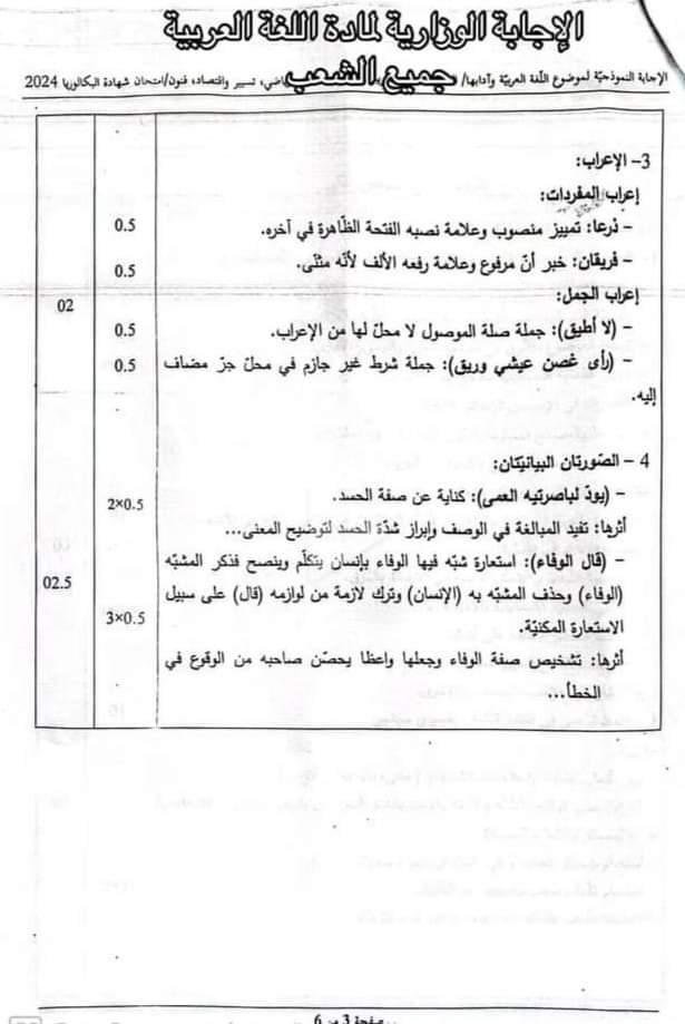 بكالوريا 2024 : التصحيح الوزاري لمادة "اللـغة العربية" في الشعب العلمية - SFN Emploi بكالوريا 2024 : التصحيح الوزاري لمادة "اللـغة العربية" في الشعب العلمية - SFN Emploi