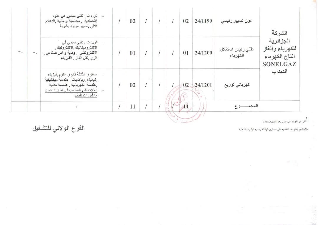 عروض توظيف بالشركة الجزائرية للكهرباء والغاز سونلغاز Sonelgaz - SFN Emploi