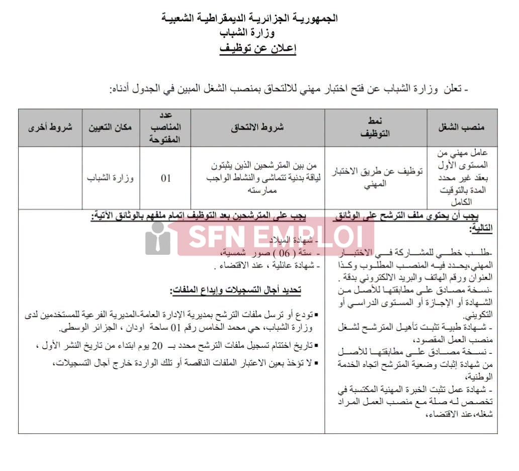 فرص عمل جديدة.. وزارة الشباب تعلن عن فتح التوظيف في عدة رتب لسنة 2026 - SFN Emploi فرص عمل جديدة.. وزارة الشباب تعلن عن فتح التوظيف في عدة رتب لسنة 2026 - SFN Emploi