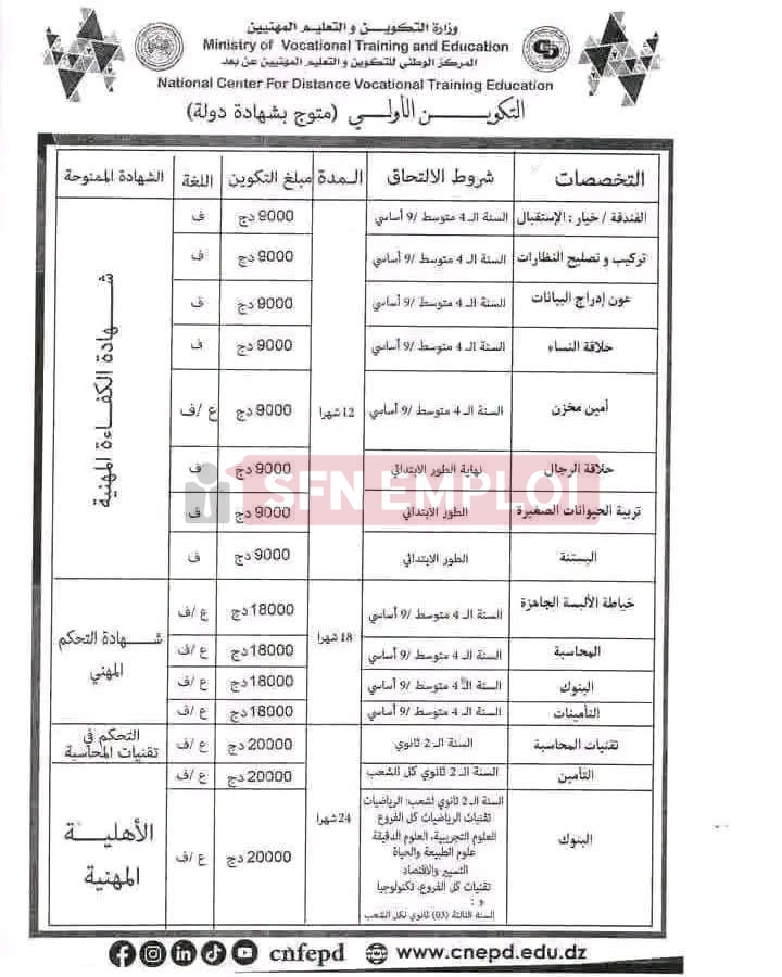 التكوين المهني عن بُعد دورة أكتوبر 2026: التسجيلات مفتوحة وهذه هي الشروط والتخصصات - SFN Emploi
