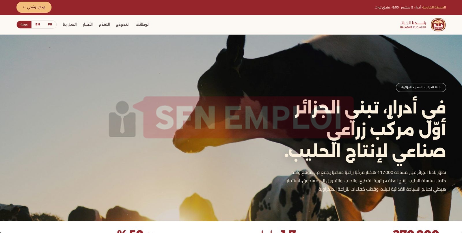 منصة توظيف بلدنا الجزائر 2026.. التخصصات المطلوبة ورابط إيداع طلب التوظيف عبر baladna-algeria.dz - SFN Emploi