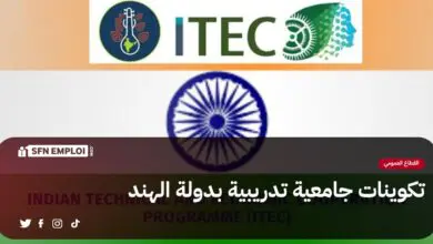وزارة التعليم العالي والبحث العلمي تتلقى عرضا لتكوينات تدريبية بالهند - SFN Emploi
