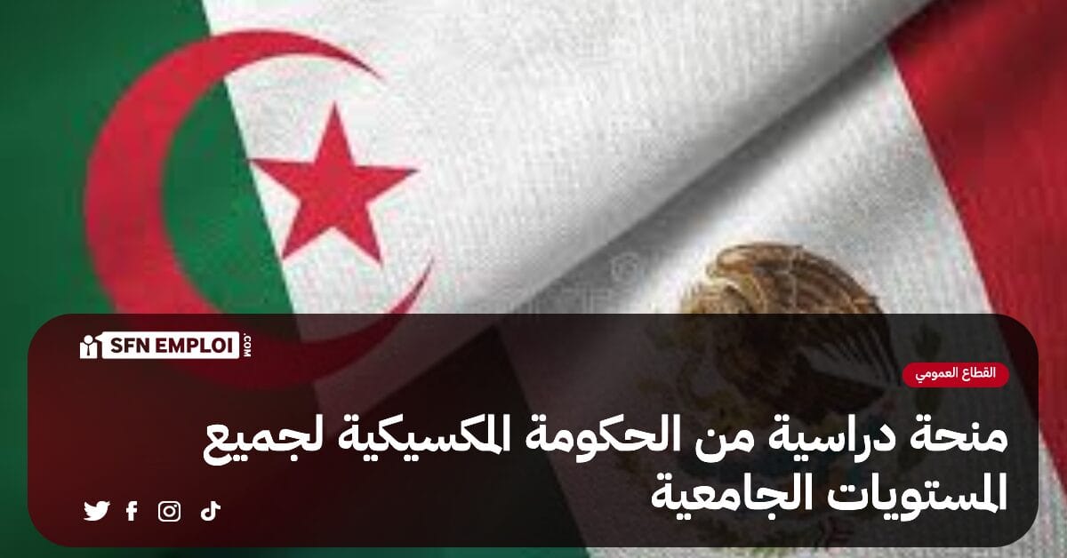 منح دراسية من الحكومة المكسيكية لجميع المستويات الجامعية - SFN Emploi منح دراسية من الحكومة المكسيكية لجميع المستويات الجامعية - SFN Emploi