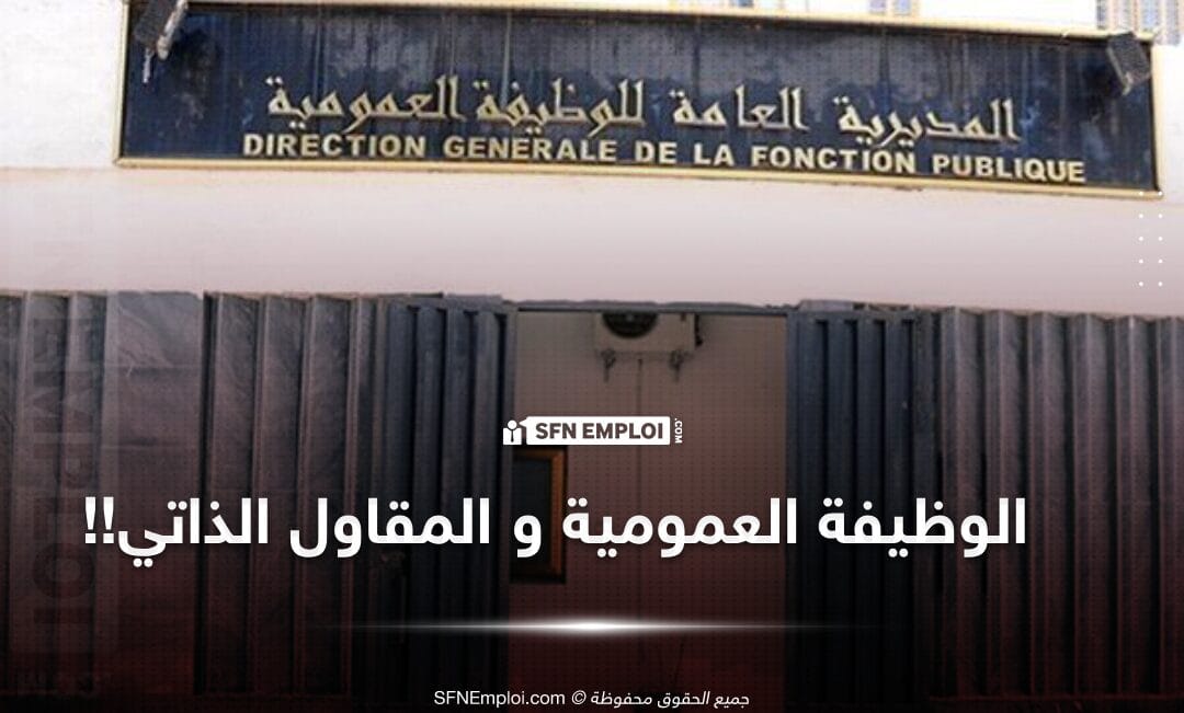 السماح لموظفي الوظيفة العمومية بمزاولة نشاطات اقتصادية خاصة - SFN Emploi