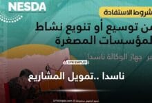 توسعة المشروع الوكالة الوطنية لدعم وتنمية المقاولاتية ناسدا nesda