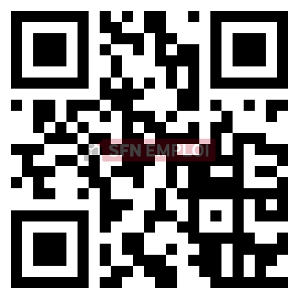 حاملو مستوى السنة الثالثة ثانوي في الجزائر: أبرز مسابقات التوظيف والمناصب التي يمكن الترشح لها - SFN Emploi
