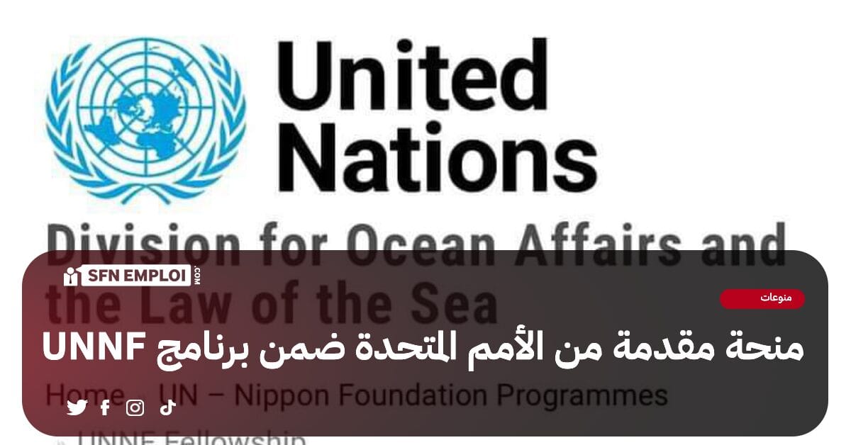 منحة ممولة مقدمة من الأمم المتحدة ضمن برنامج UNNF في أمريكا - SFN Emploi منحة ممولة مقدمة من الأمم المتحدة ضمن برنامج UNNF في أمريكا - SFN Emploi
