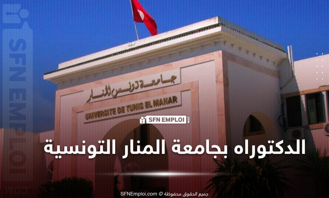التسجيل بمرحلة الدكتوراه بجامعة المنار تونس لسنة 2024 - SFN Emploi