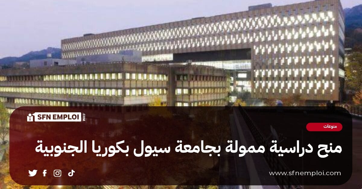 منح دراسية بجامعة سيول بكوريا الجنوبية - SFN Emploi منح دراسية بجامعة سيول بكوريا الجنوبية - SFN Emploi