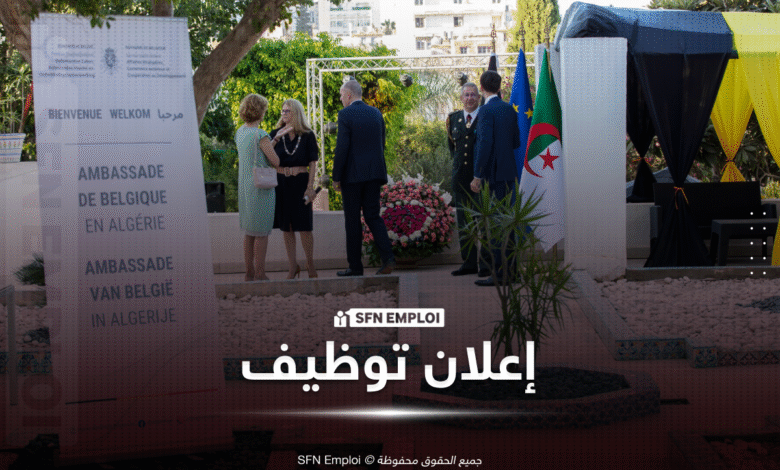 السفارة البلجيكية في الجزائر توظيف