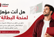حاسبة منحة البطالة في الجزائر