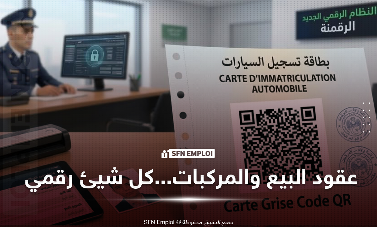 إطلاق المرحلة الثالثة من النظام المعلوماتي لترقيم المركبات في الجزائر: تفاصيل هامة للمواطنين - SFN Emploi ترقيم المركبات