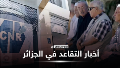 منصة إلكترونية لحساب المعاش التقاعدي بسهولة - SFN Emploi الصندوق الوطني للتقاعد اخبار المتقاعدين في الجزائر