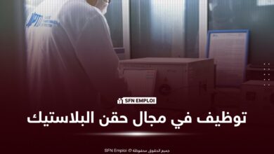 إعلان توظيف واسع : شركة SPA PTD تفتح 29 منصب عمل في عدة تخصصات - SFN Emploi توظيف