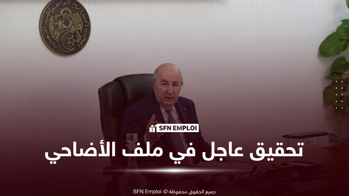 رئيس الجمهورية يأمر بفتح تحقيق حول النقائص المسجلة في عملية استيراد أضاحي العيد - SFN Emploi رئيس الجمهورية يأمر بفتح تحقيق حول النقائص المسجلة في عملية استيراد أضاحي العيد - SFN Emploi