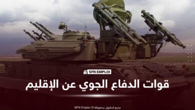 قوات الدفاع الجوي عن الإقليم