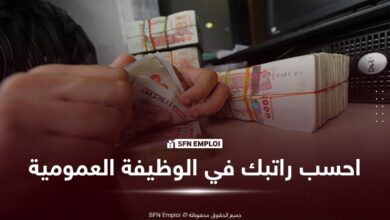 حاسبة راتب الوظيفة العمومية في الجزائر 2026 حسب الصنف والدرجة - SFN Emploi حاسبة راتب الوظيفة العمومية