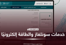 دفع فواتير سونلغاز ومحاكاة الاستهلاك إلكترونيًا