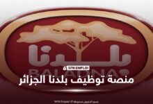 منصة توظيف بلدنا الجزائر 2026.. التخصصات المطلوبة ورابط إيداع طلب التوظيف عبر baladna-algeria.dz - SFN Emploi