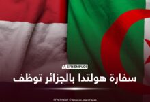 توظيف سفارة هولندا بالجزائر