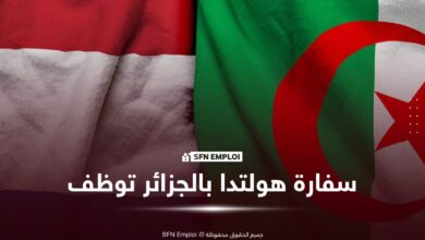 توظيف سفارة هولندا بالجزائر