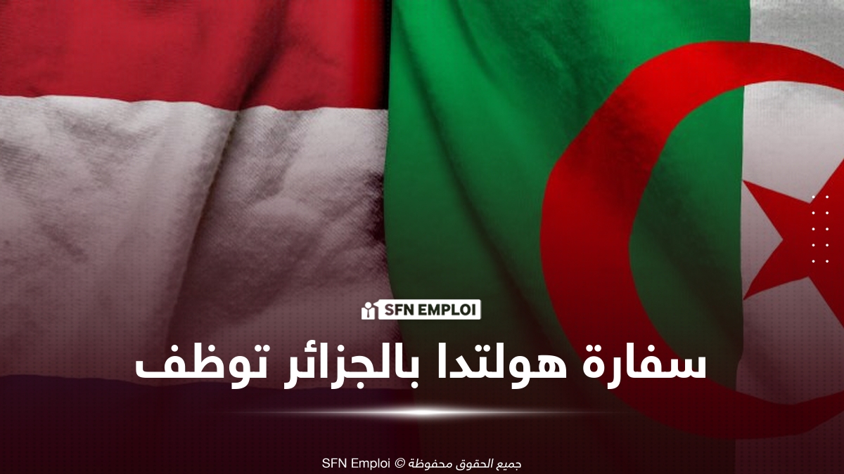 سفارة مملكة هولندا بالجزائر تعلن عن توظيف لسنة 2026 - SFN Emploi توظيف سفارة هولندا بالجزائر