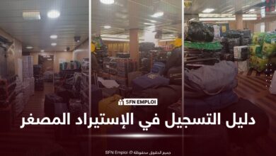 دليل التسجيل في نشاط الاستيراد المصغر في الجزائر: الخطوات والوثائق المطلوبة - SFN Emploi الاستيراد المصغر