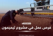 فرص عمل في مشروع تيميمون