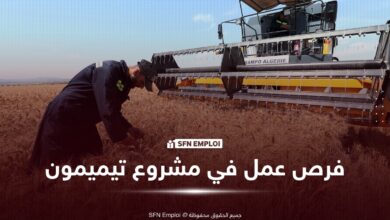 فرص عمل في مشروع تيميمون