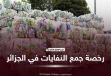رخصة جمع النفايات في الجزائر: الشروط والملف وكيفية الحصول عليها - SFN Emploi رخصة جمع النفايات في الجزائر: الشروط والملف وكيفية الحصول عليها - SFN Emploi