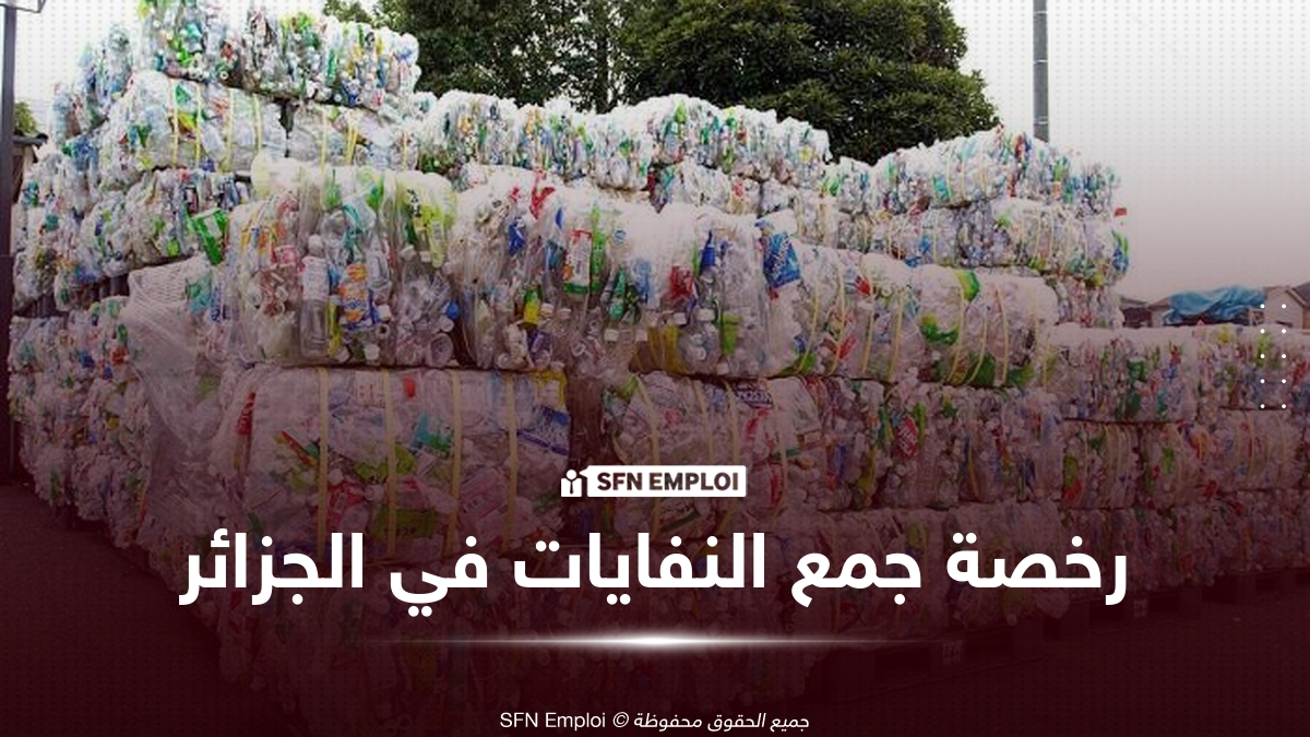 رخصة جمع النفايات في الجزائر: الشروط والملف وكيفية الحصول عليها - SFN Emploi رخصة جمع النفايات في الجزائر: الشروط والملف وكيفية الحصول عليها - SFN Emploi