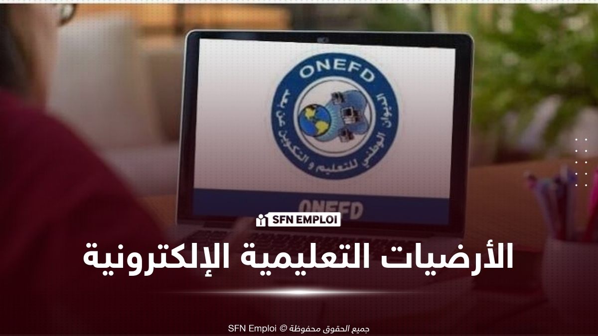 روابط أرضيات المرافقة البيداغوجية والنفسية للتعليم عن بُعد 2026 لجميع المستويات (المتوسط والأولى والثانية والثالثة ثانوي) - SFN Emploi روابط أرضيات المرافقة البيداغوجية والنفسية للتعليم عن بُعد 2026 لجميع المستويات (المتوسط والأولى والثانية والثالثة ثانوي) - SFN Emploi