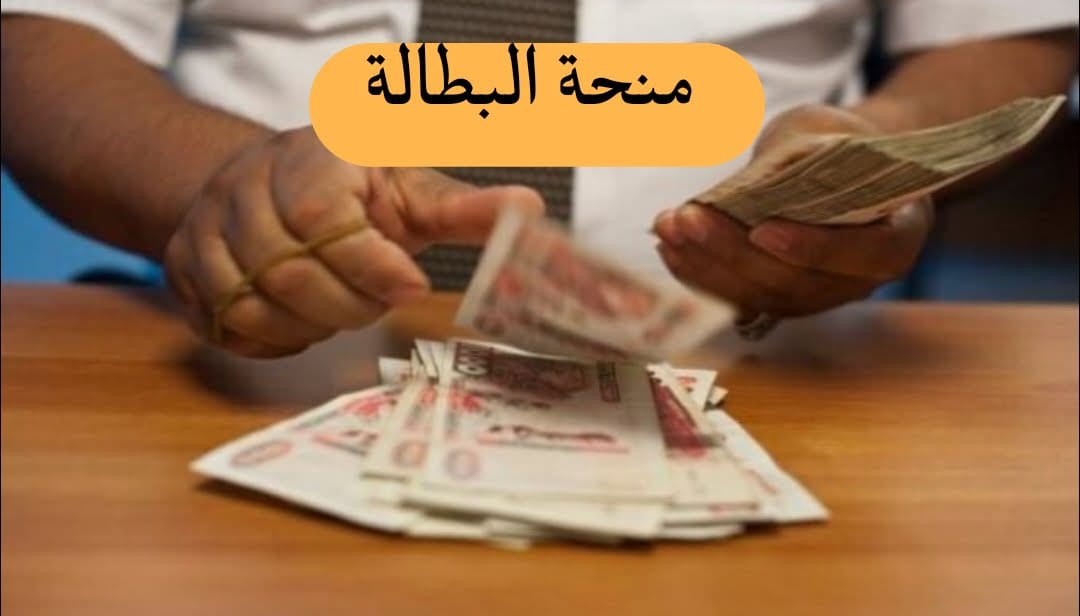 جديد منحة البطالة..فتح مواعيد مقابلة الإستفادة - SFN Emploi جديد منحة البطالة..فتح مواعيد مقابلة الإستفادة - SFN Emploi