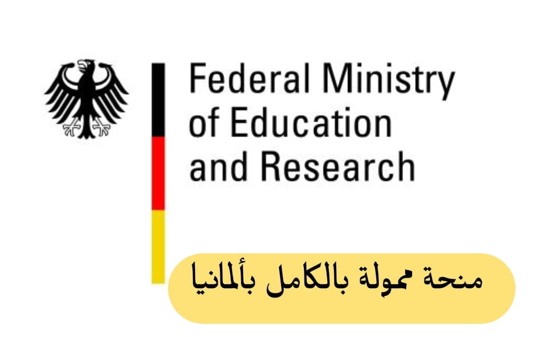 مسابقة المواهب الخضراء..منحة ممولة بالكامل لمدة 3 أشهر بالمؤسسات الألمانية - SFN Emploi