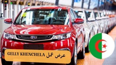 عرض عمل بمؤسسة ليليانا أوتو GEELY KHENCHELA - SFN Emploi