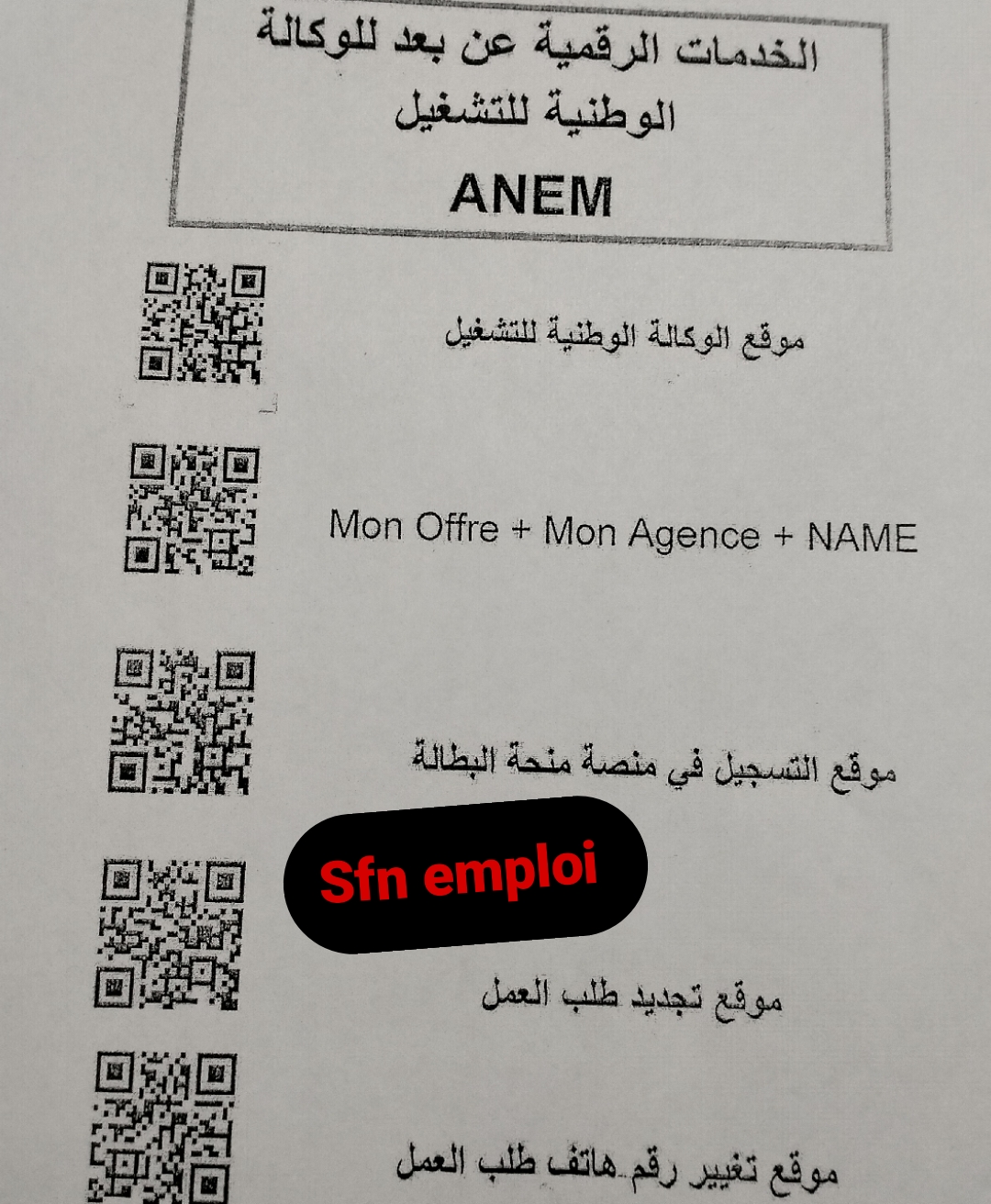 بضغطة زر: اكتشف خدمات ANEM الرقمية وروابط التحميل المباشر - SFN Emploi بضغطة زر: اكتشف خدمات ANEM الرقمية وروابط التحميل المباشر - SFN Emploi