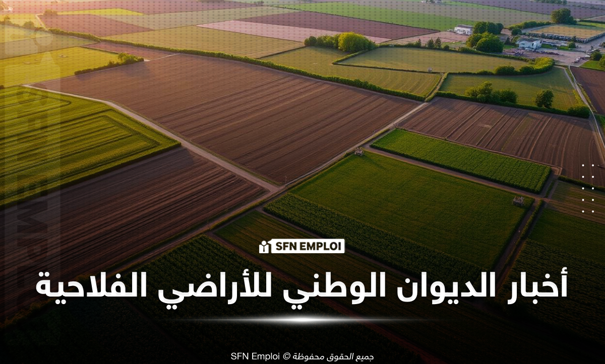 الديوان الوطني للأراضي الفلاحية يفتح باب الترشح لتسوية الأراضي الفلاحية دون سند - SFN Emploi الديوان الوطني للأراضي الفلاحية