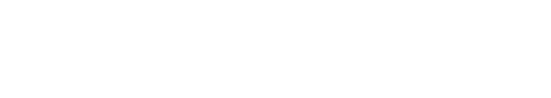 SFN Emploi logo white
